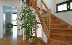 Eine Pflanze steht neben einem Treppenaufgang